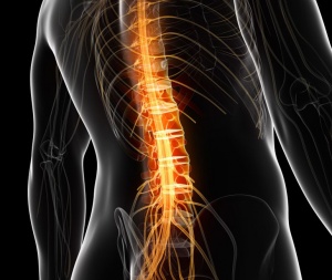 Поперекова грижа міжхребцевого диска L5 S1