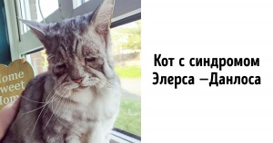 16 рідкісних фото, без яких ваше уявлення про світ буде неповним