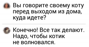 20+ зізнань про те, що говорять люди своїм котам перед відходом з вдома