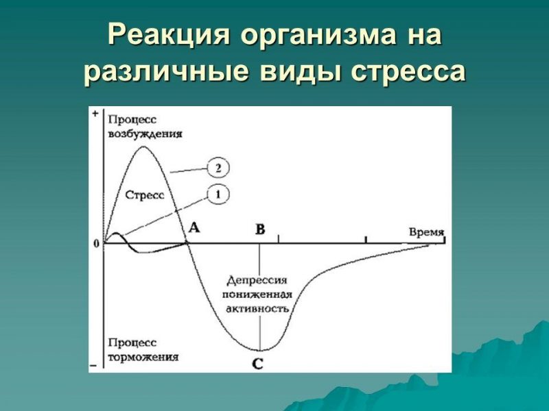 реакція організму на різні види стресу